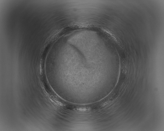 X0000076030740200610061417