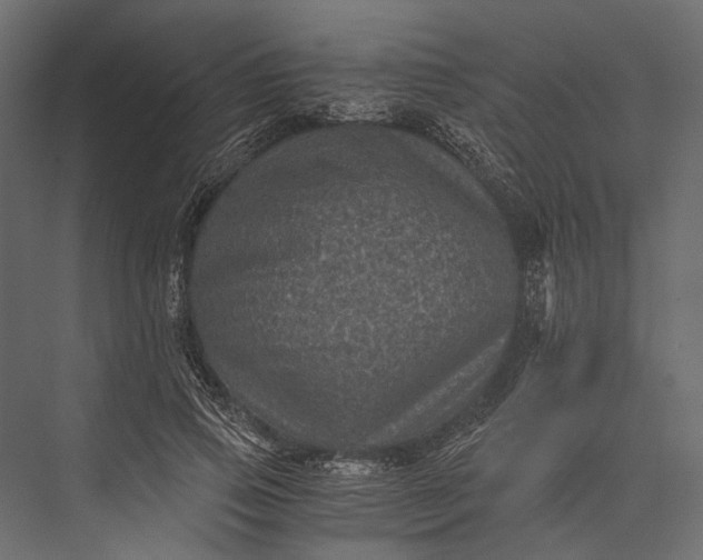 X0000076030741200610061417