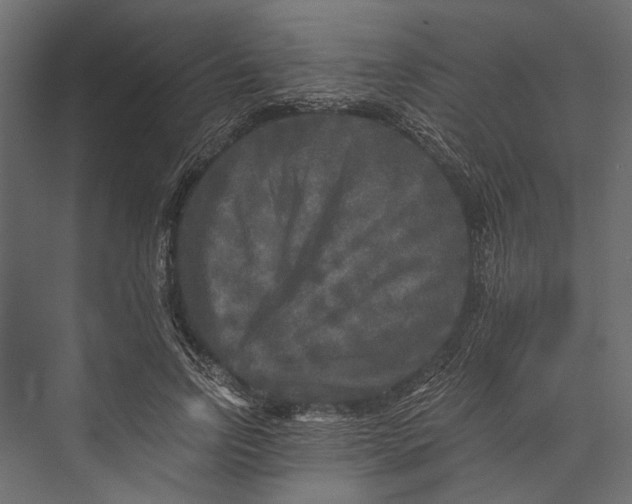 X0000076030742200610061417