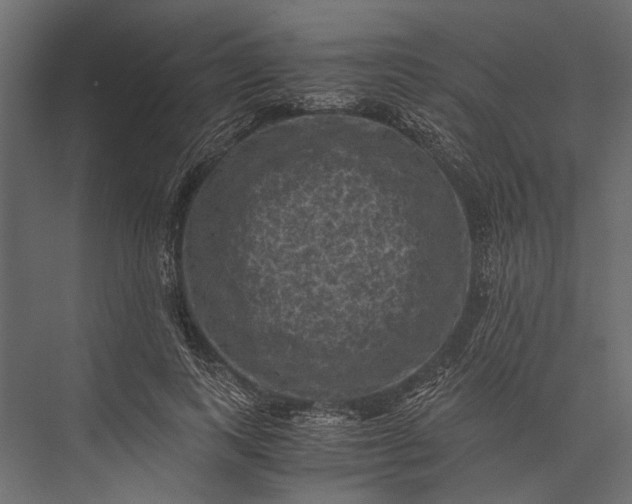 X0000076030743200610061417