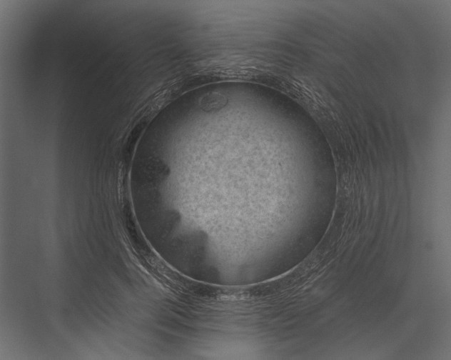 X0000076030744200610061417