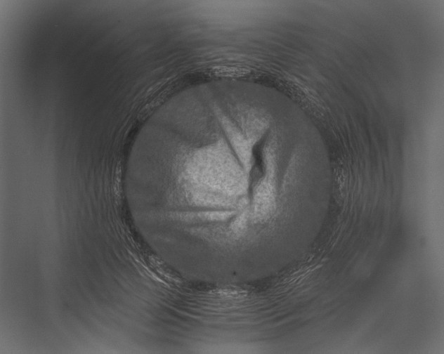 X0000076030745200610061417