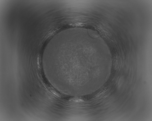 X0000076030747200610061418