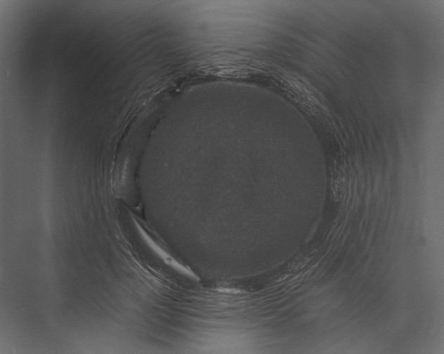 X0000076030748200610061418