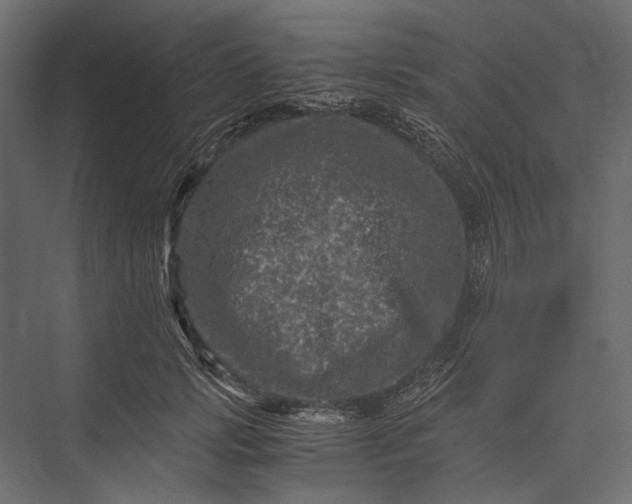 X0000076030749200610061418