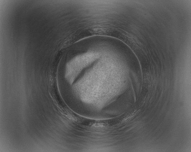 X0000076030751200610061418