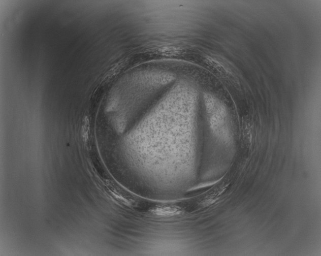 X0000076030752200610061418