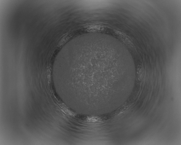 X0000076030753200610061418