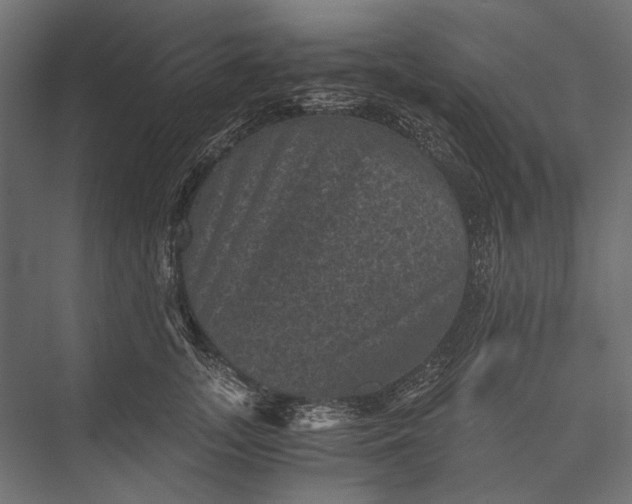 X0000076030755200610061418