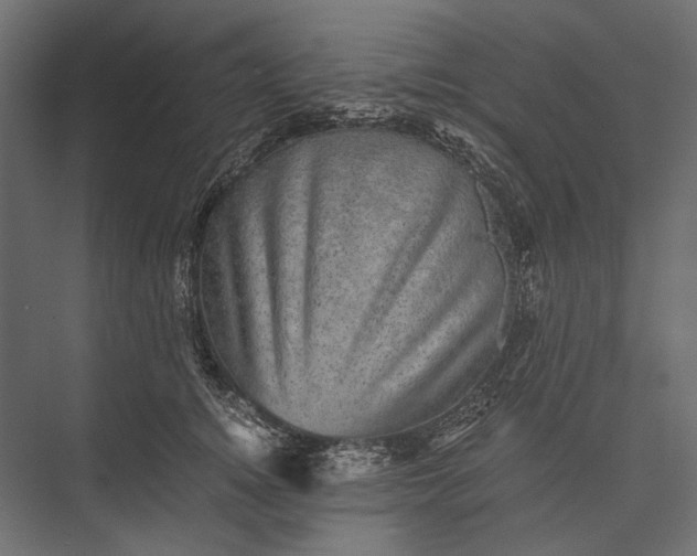 X0000076030756200610061418