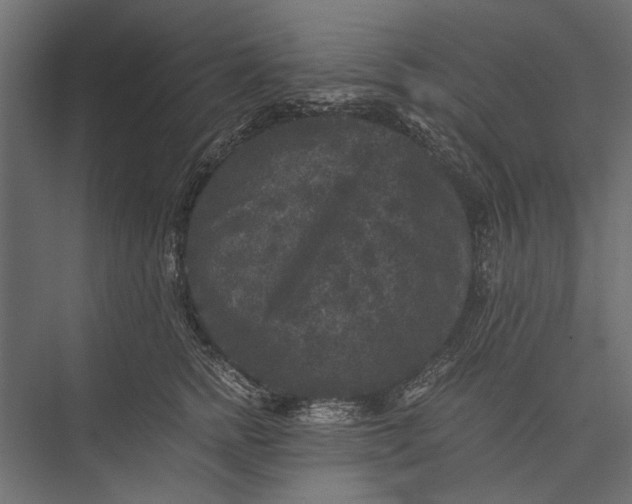 X0000076030758200610061418