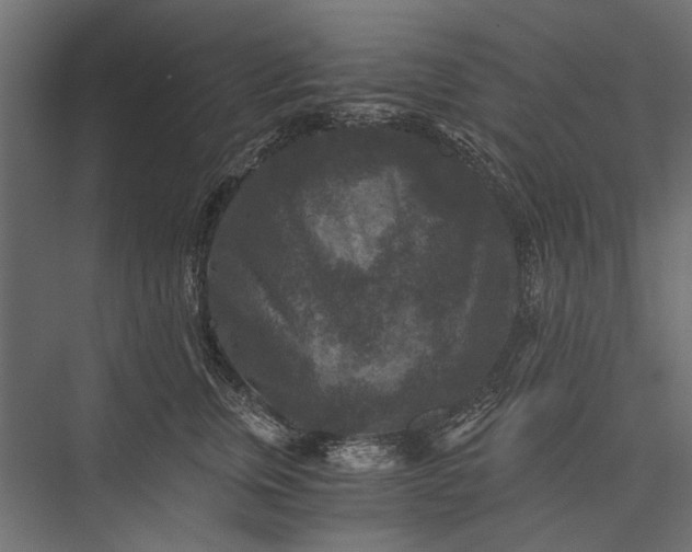 X0000076030759200610061418