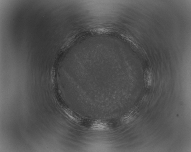 X0000076030760200610061418