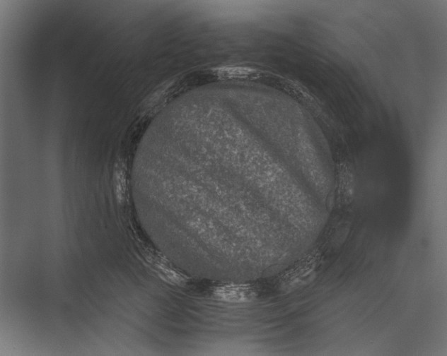 X0000076030761200610061418