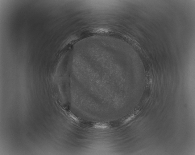 X0000076030762200610061418