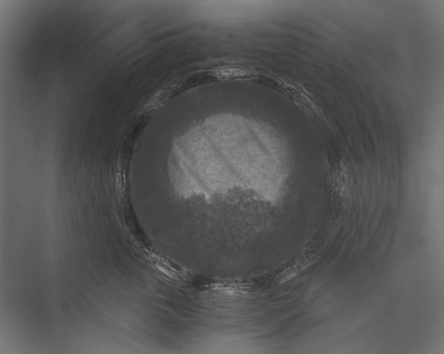 X0000076030763200610061418