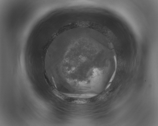 X0000076030765200610061418