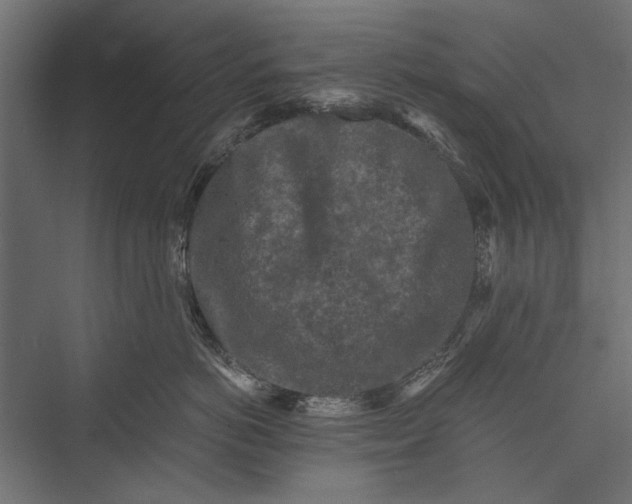 X0000076030766200610061418