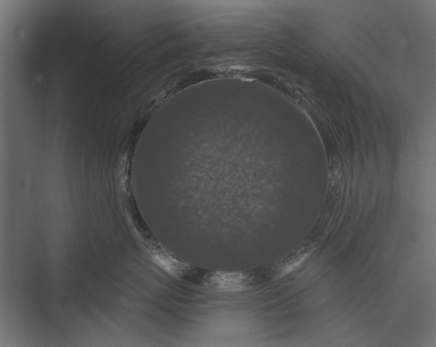 X0000076030767200610061418