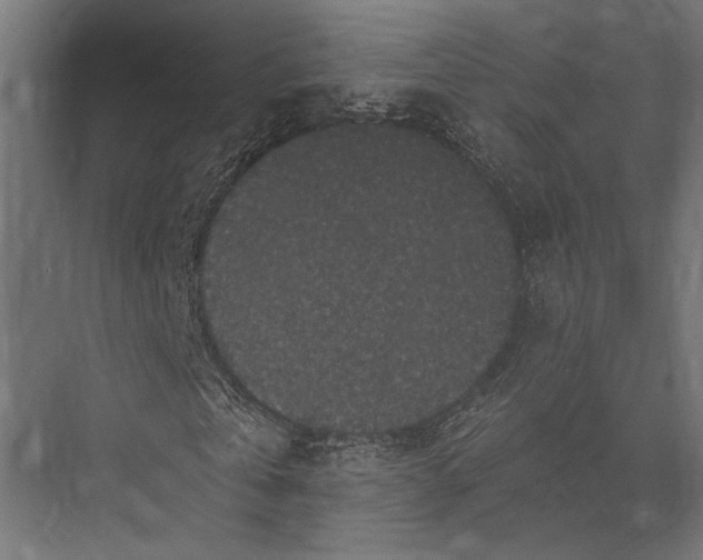 X0000076030769200610061417