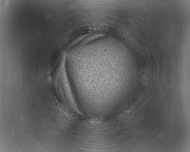 X0000076030770200610061417