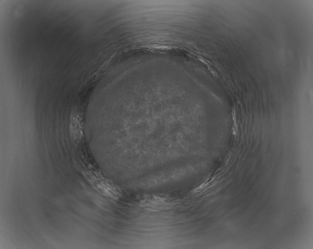 X0000076030772200610061417