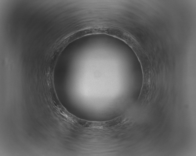 X0000076030773200610061417