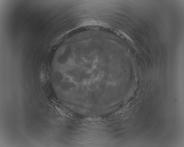 X0000076030775200610061417