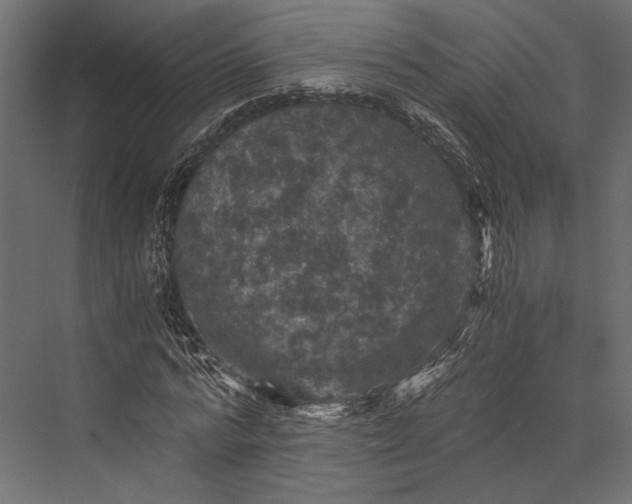 X0000076030776200610061417