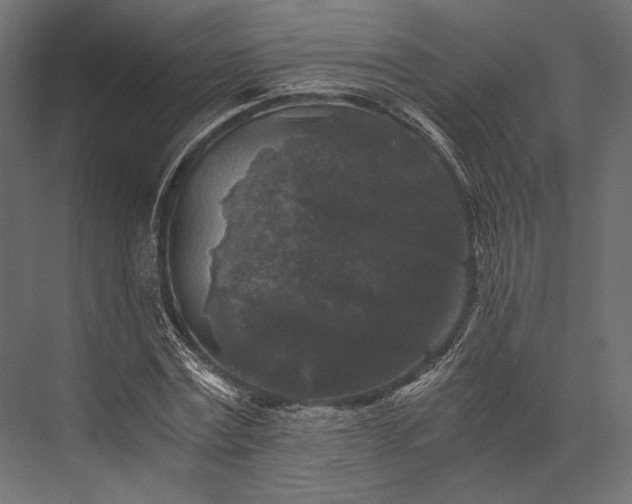 X0000076030779200610061417