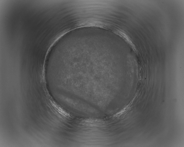 X0000076030780200610061417