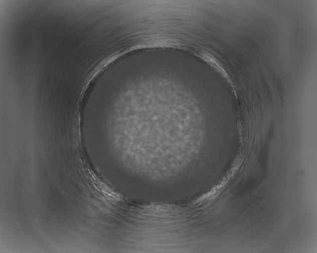 X0000076030781200610061417