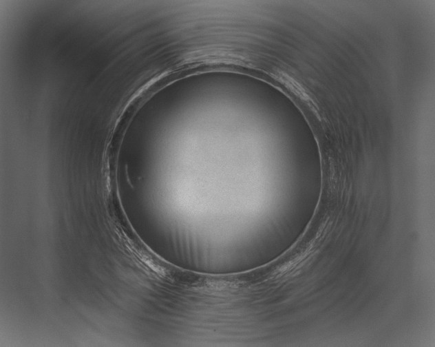 X0000076030782200610061417