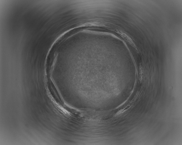 X0000076030784200610061417