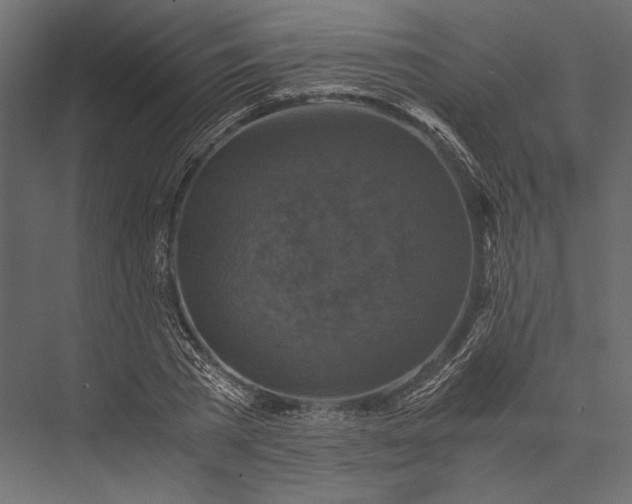 X0000076030785200610061417