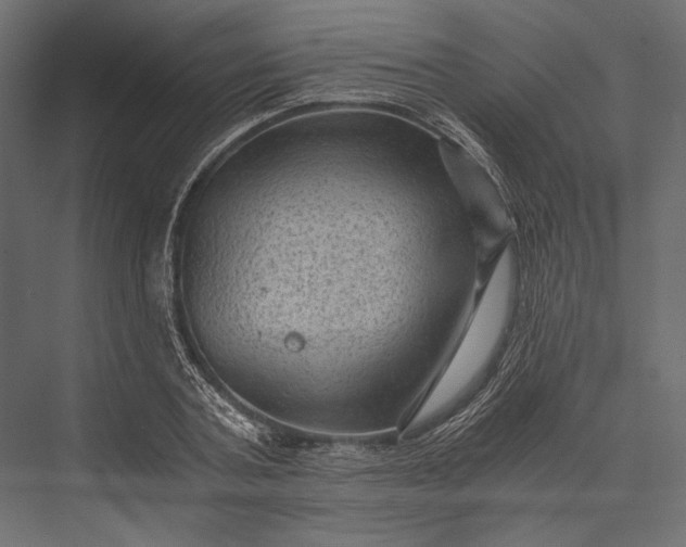 X0000076030787200610061417