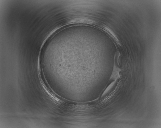 X0000076030788200610061417