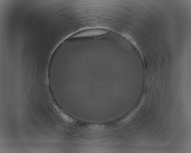 X0000076030789200610061417