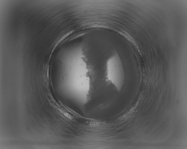 X0000076030790200610061417