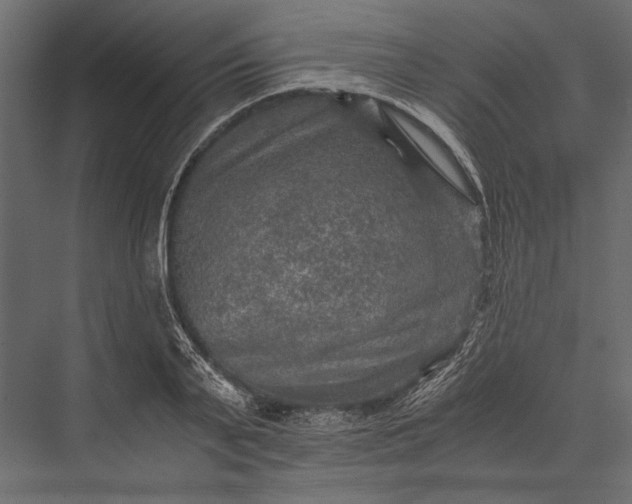 X0000076030791200610061417