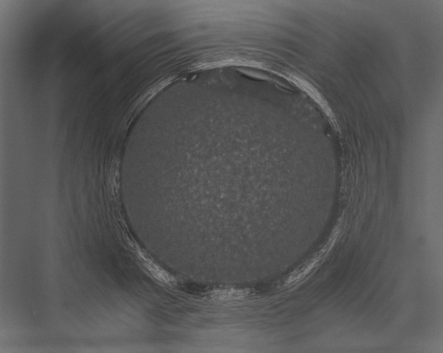 X0000076030793200610061417