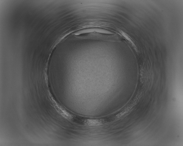 X0000076030794200610061417