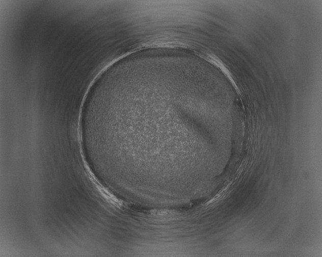 X0000076030795200610061417