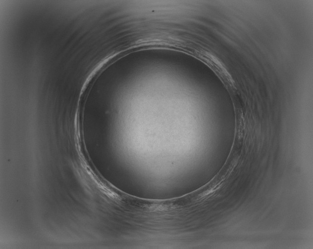 X0000076030796200610061417