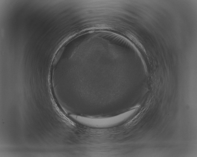 X0000076030797200610061417