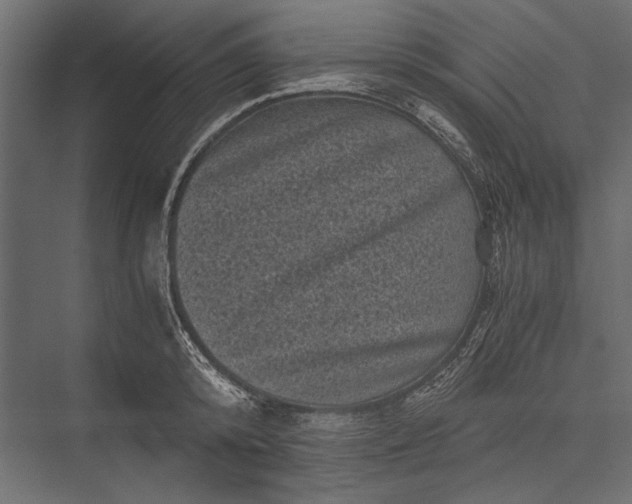 X0000076030800200610061417