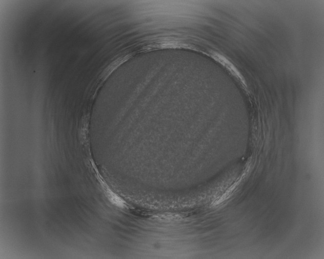 X0000076030801200610061417