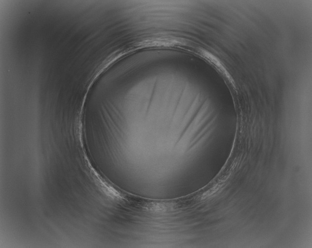 X0000076030802200610061416