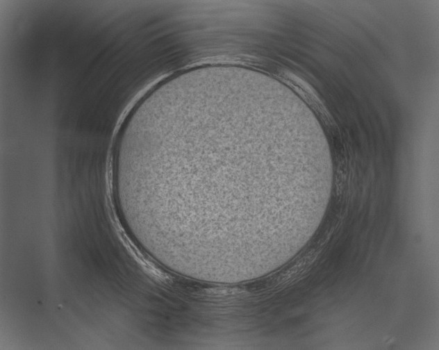 X0000076030804200610061416