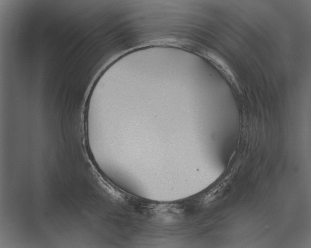 X0000076030808200610061416